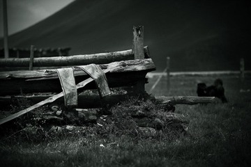 IMG_1137副本2-1.jpg