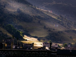 IMG_3702-1-1.jpg