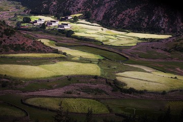 IMG_3995-2.jpg