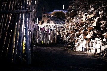 IMG_5415-1-1.jpg