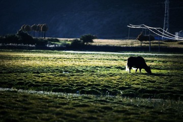 IMG_5586-4-1.jpg