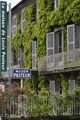 IMG_6328-2-1.jpg