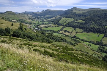 IMG_7434-1-1.jpg