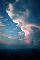 IMG_1836-1副本-1.jpg