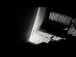 IMG_2651.jpg