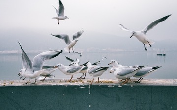 IMG_1074-编辑