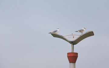 IMG_1078-编辑