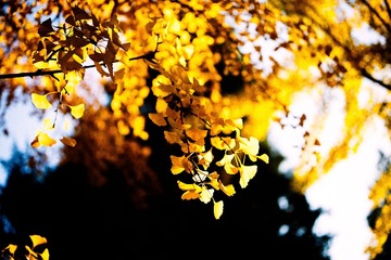 _DSC7497-编辑