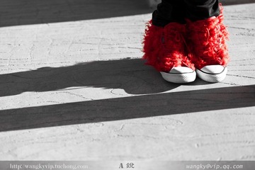 IMG_1296.jpg