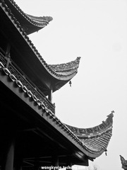 DSC09901.jpg