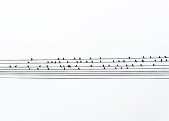 702153