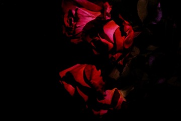 D69E015A-383B-43F2-A080-4FA0E4E158BA/L0/001