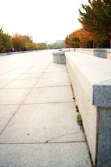 DSC00105.jpg