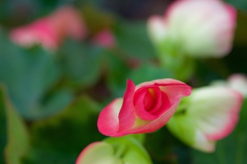 835D2B8C-F4E1-46FD-A824-366197909F0C/L0/001