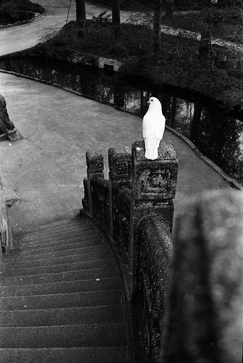 Voigtlander NOKTON classic 35/1.4 + TMAX 400