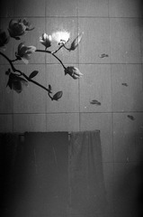 IMG_0018.jpg