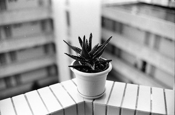 IMG_0022.jpg