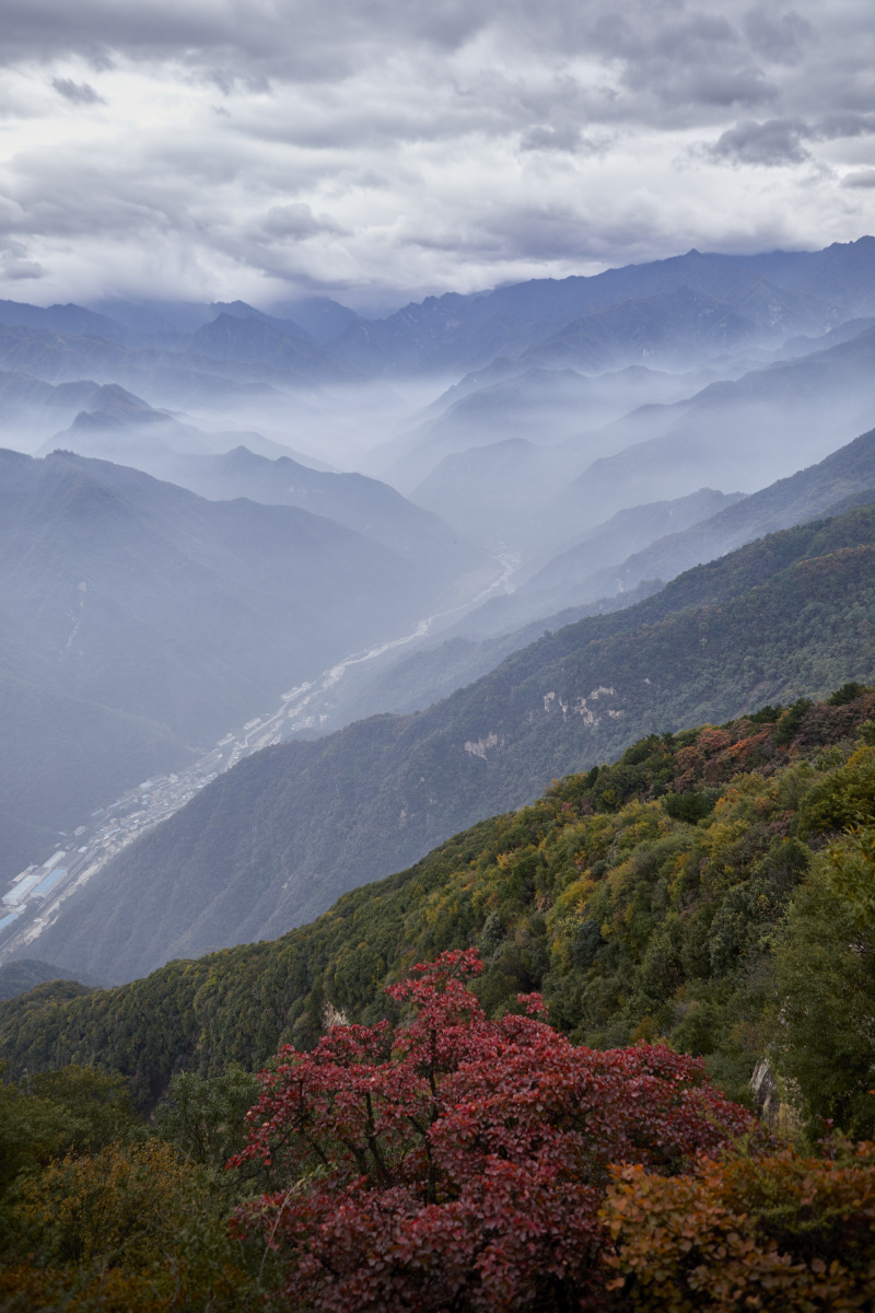 秦岭圭峰山霜叶红于二月花