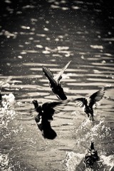 IMG_4682.jpg