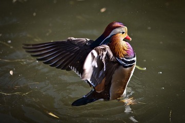 IMG_4714-2.jpg