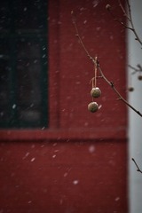 IMG_5638.jpg