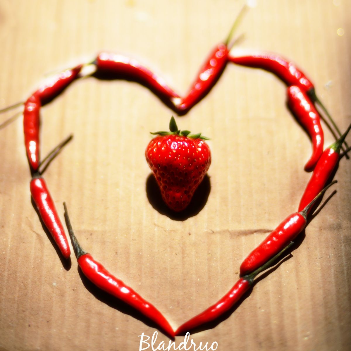 爱到底是什么 - ID=zZx - 图虫网 - 最好的摄影师