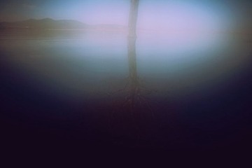 IMG_2547
