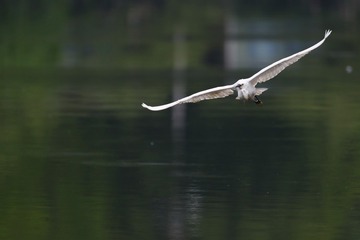 599496