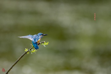 1383060