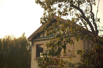 DSC01628.JPG
