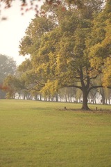 DSC01700.JPG