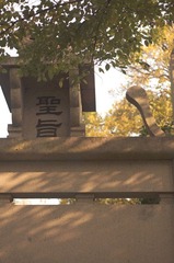 DSC01701.JPG