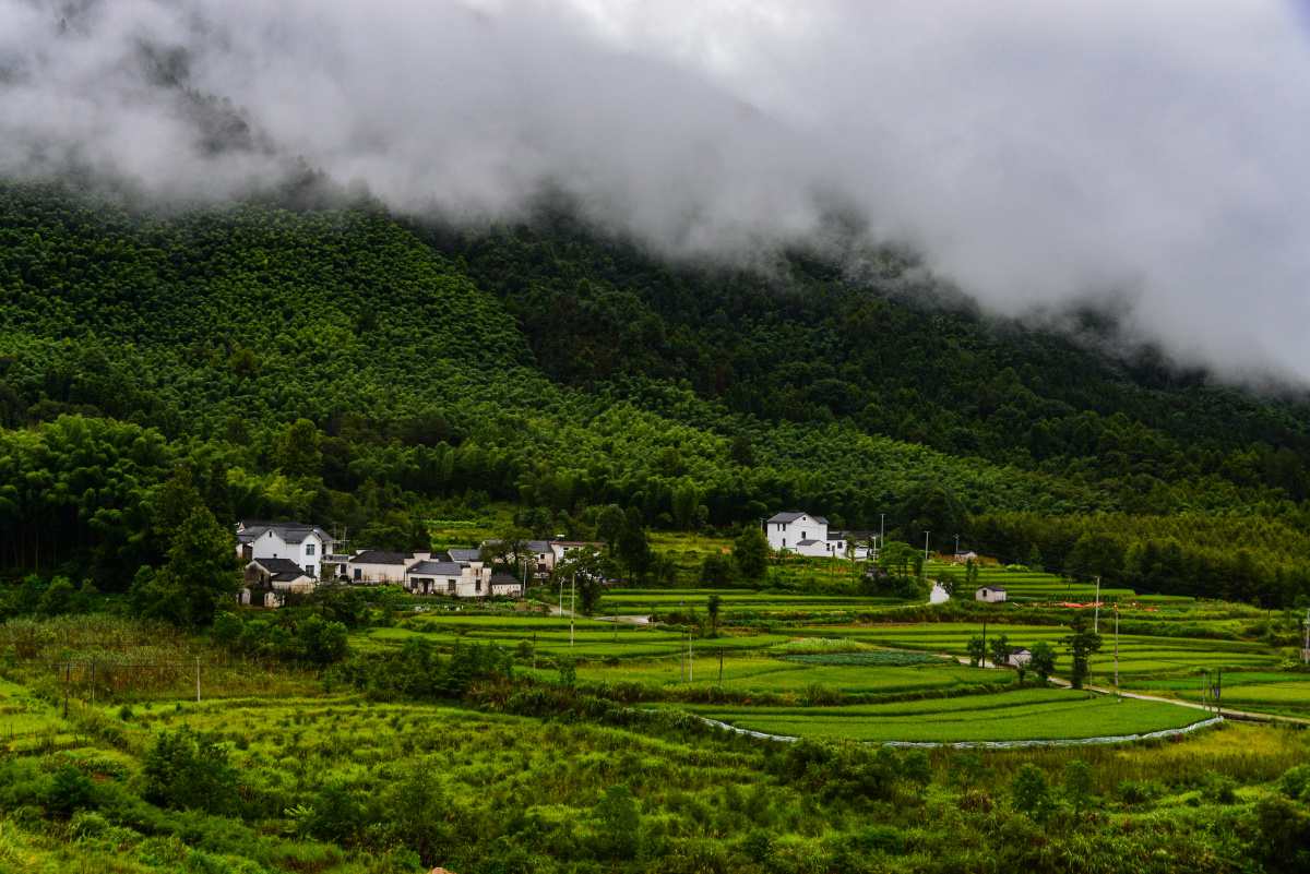 雨中山村