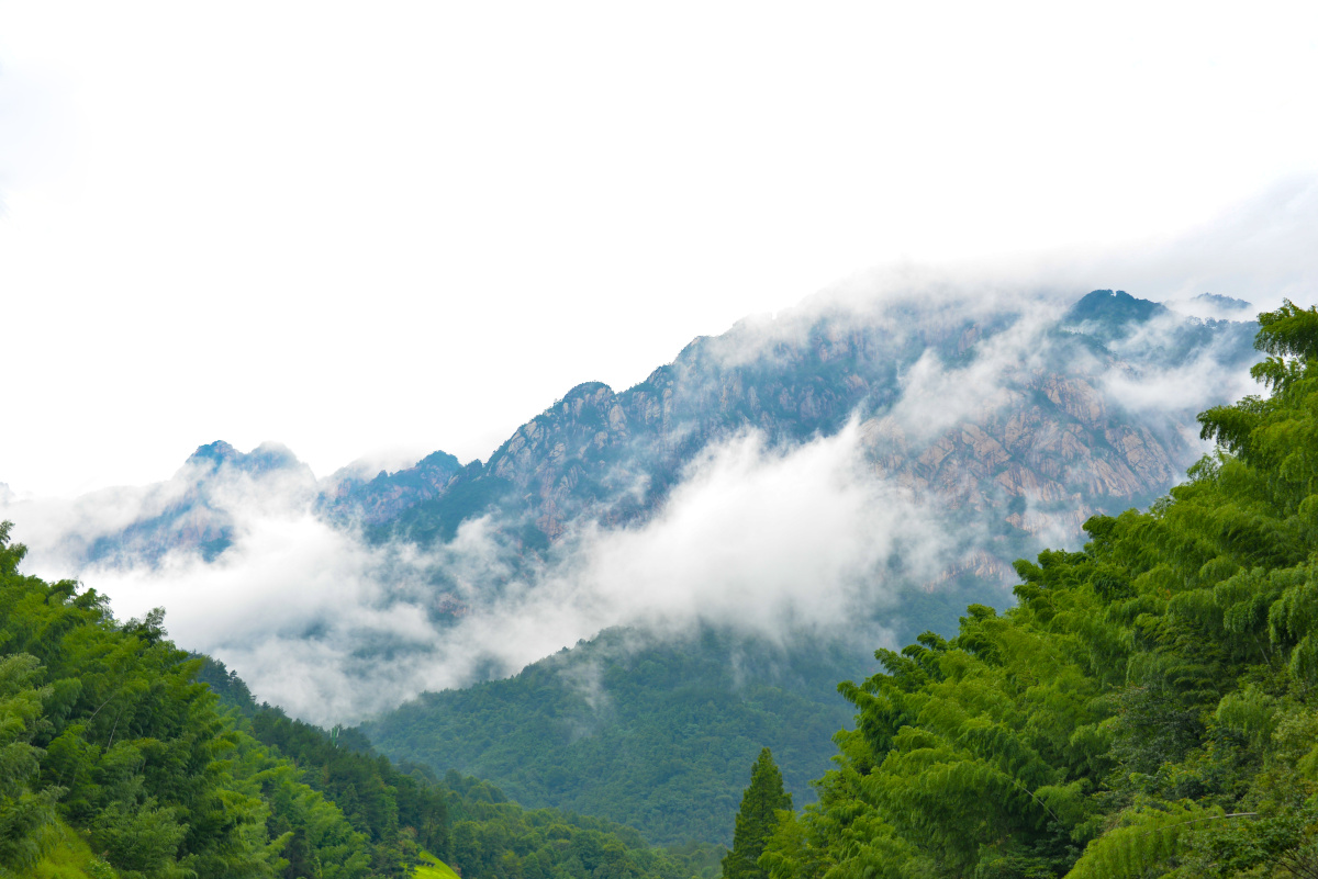 黄山云雾