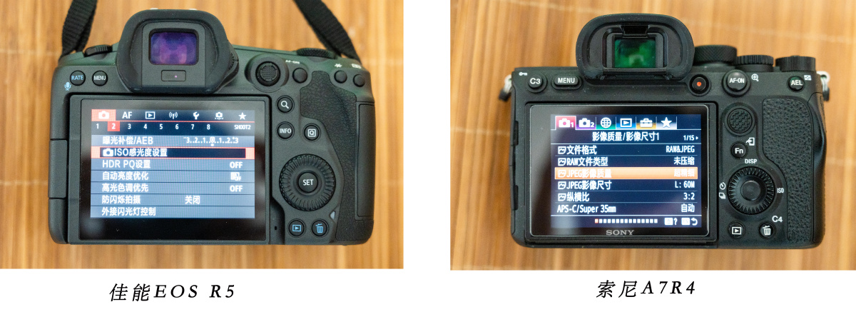 家庭萌宠拍摄佳能eosr5和索尼a7r4防抖高感全比拼