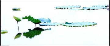 IMG_0011a