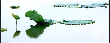 IMG_0013a
