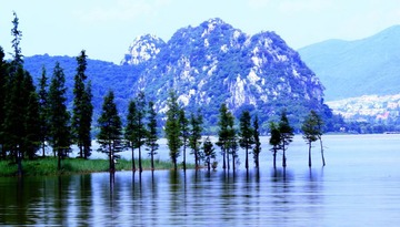 风景