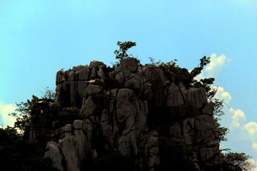 风景