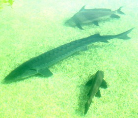 IMG_0023.jpg