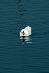 IMG_4993.jpg
