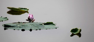 IMG_4693.jpg