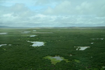 沿途远景 牧场