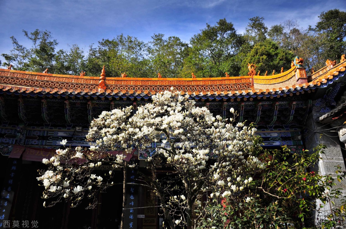 【大理感通寺】"寺古松森,西南览胜无双地;马嘶花放,苍洱驰名第一山.