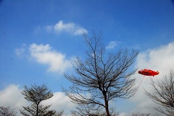 成长的梦s