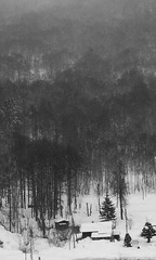 雪落山谷静无声2（小样）.JPG