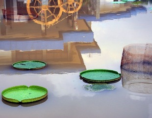 圆圆的水乡s_DSC0956.jpg