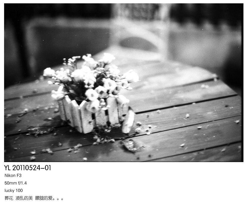 Batch Pict0085<br />
