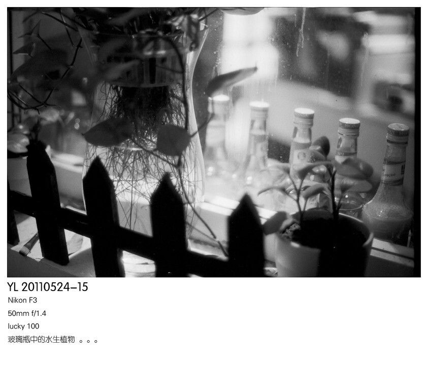 Batch Pict0120<br />
