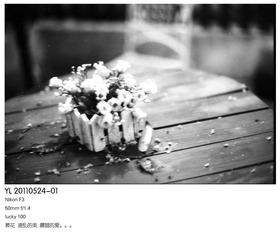 Batch Pict0085